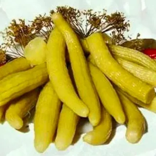 تصویر 1 از بهترین خیار شور شوید + قیمت خرید عالی